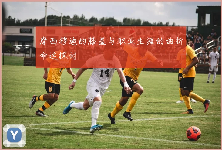 摩西穆迪的膝盖与职业生涯的曲折命运探讨