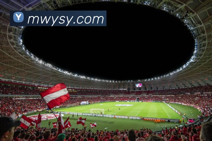 九游平台app官网发展历程